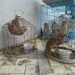 Customs Intercept Endangered Animals, Arrest 3 Traffickers In Kano