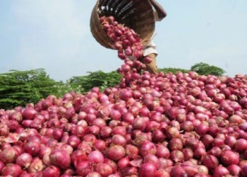 Nigerian Onion Traders Suspend Exports To Ghana, Seek ECOWAS Intervention