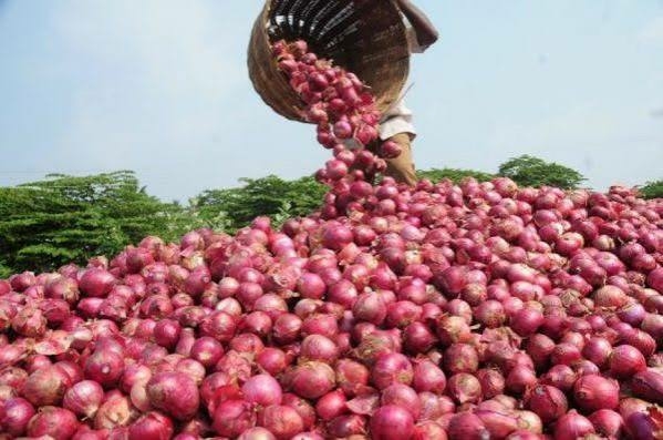 Nigerian Onion Traders Suspend Exports To Ghana, Seek ECOWAS Intervention