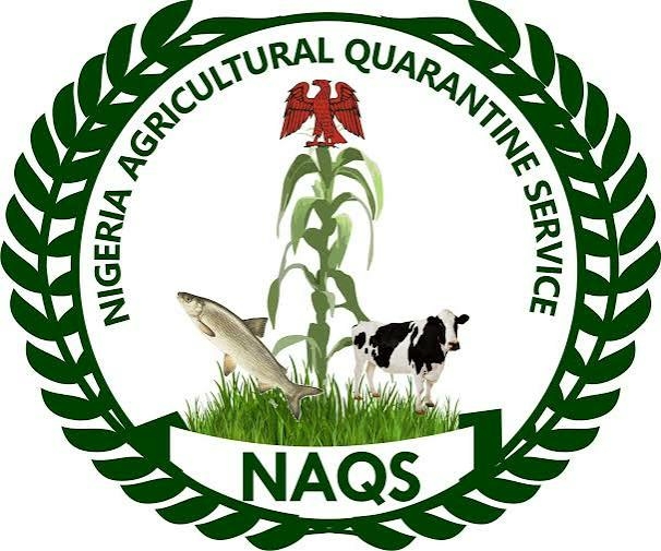 NAQS Releases Recruitment Shortlist, Sets CBT For August 20 1 NAQS Releases Recruitment Shortlist, Sets CBT for August 20