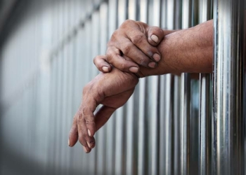 Nigerian Pleads Guilty To $415,874 US Unemployment Insurance Fraud