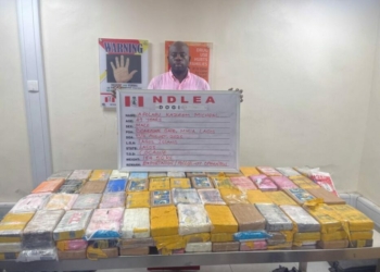 ‘KC Luxury’ Sues NDLEA Over Detention, Seeks N190m Damages
