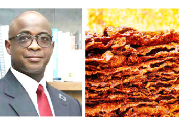 Why Kilishi Could Be Nigeria’s Next Big Business Opportunity – Prof Sani