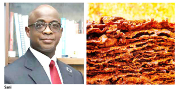 Why Kilishi Could Be Nigeria’s Next Big Business Opportunity – Prof Sani