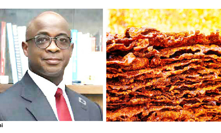 Why Kilishi Could Be Nigeria’s Next Big Business Opportunity – Prof Sani 1 sani kilishi