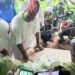 Osun Election 2026: Adeleke Arrives At Polling Unit To Cast Vote