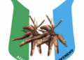APM Blasts NASS Over Extension Of 2025 Capital Budget, Says It Encourages Padding