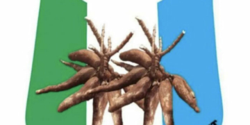 APM Blasts NASS Over Extension Of 2025 Capital Budget, Says It Encourages Padding