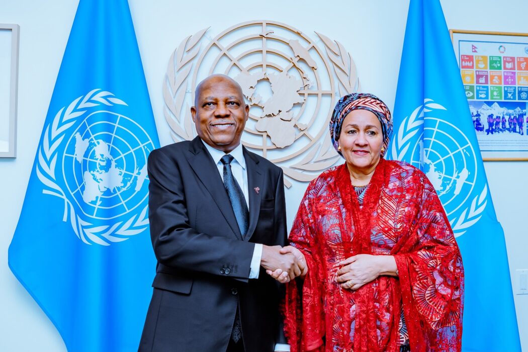 Africa’s Exclusion From UN Security Council Unjust, Indefensible – Shettima