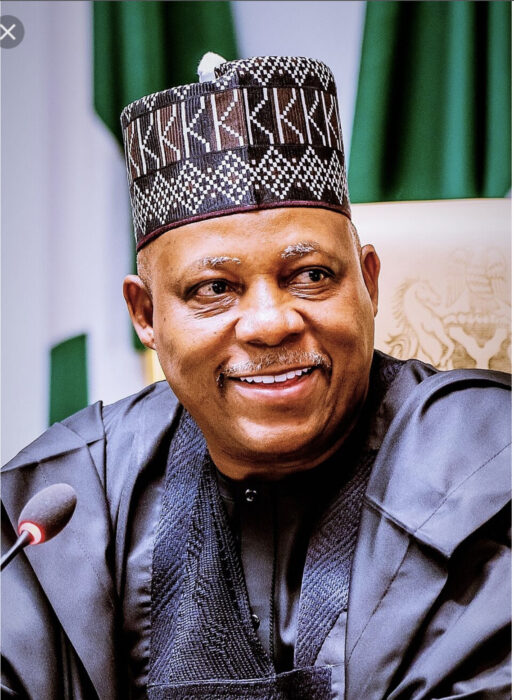 Nigeria’s Democratic Journey Owes Much To Journalists, Reveals Shettima