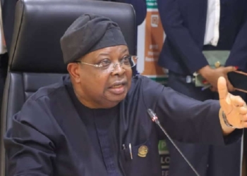 Power Minister Admits Nigerians Still Lack Reliable Electricity