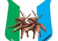 The Allied Peoples Movement (APM)
