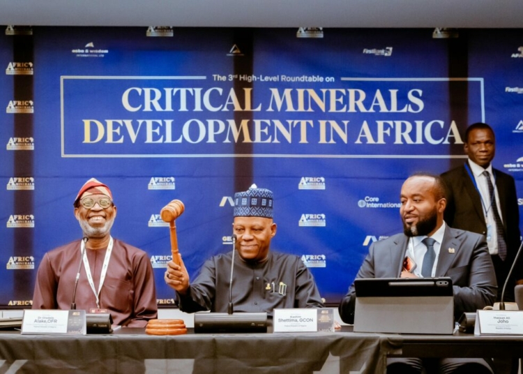 Tinubu Seeks African Alliance To End Raw Mineral Export 1 94cbfd8f 3c99 4d55 84ae 5a3dc7d49678