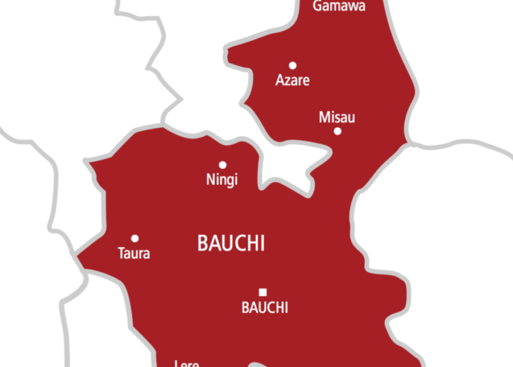 Bauchi map