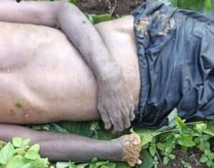 Fresh Crisis Rocks Mambilla Plateau, as DSS Officer, Others Reportedly Killed 5 FB IMG 1789648062319