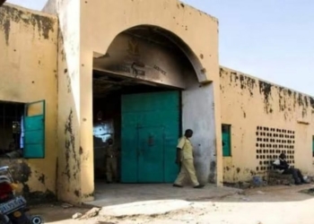 Amnesty International Raises Alarm Over Suspected Cholera Outbreak At Kano Prison