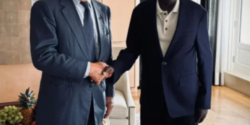 Tinubu Secures French Media Giant Bolloré’s Commitment To Expand Nigerian Creative Sector