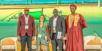 NADF Seeks Coordinated Capital To Unlock Africa’s Agricultural Potential