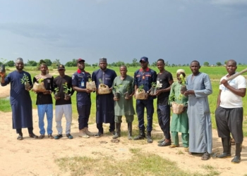 Center Battles Desertification In Bauchi