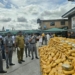 Customs Crackdown On Smugglers, Intercepts N3.95bn Illicit Drugs, Pharmaceuticals