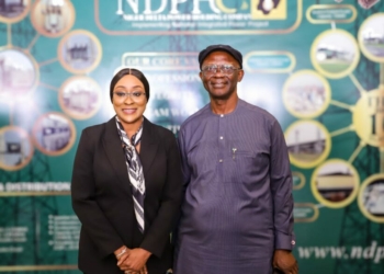 NDPHC Outlines Renewable Energy Plans For Northern Nigeria In NIPP Phase 2