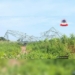 TCN Declares Force majeure Birnin-Kebbi  Transmission Line After Storm Toppled Tower