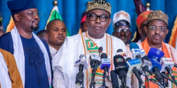 2027: Demand Performance Not Excuses, Adebayo Tells Nigerians