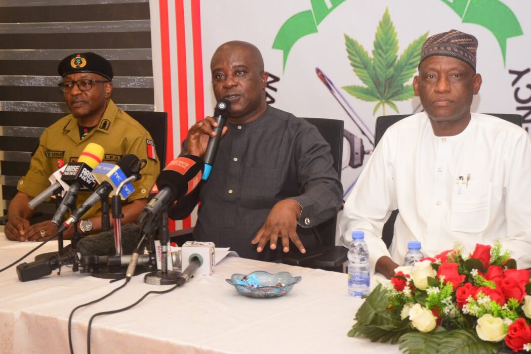NDLEA Dismantles Industrial Meth Lab, Arrests Mexican Drug Kingpin