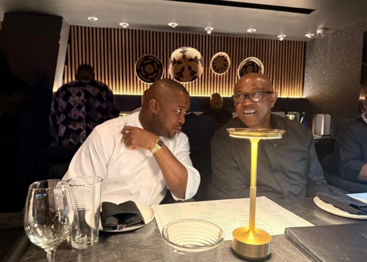 2027: Anyanwu, Others Host Obi In Washington, Push For Credible Polls 1 IMG 20260916 WA0017 1