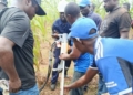 TCN Advances Kainji–Birnin Kebbi Transmission Line Restoration