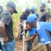 TCN Advances Kainji–Birnin Kebbi Transmission Line Restoration