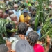 Benue Protesters Block Makurdi-Gboko Highway Over Abducted Mourners 5 IMG 20260929 WA0009 1