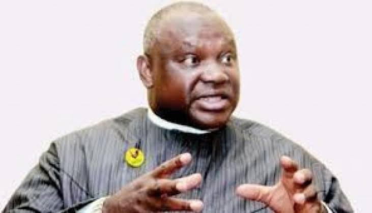 2027: Okorie Urges Igbos In Diaspora To Persuade Relatives, Others To Vote