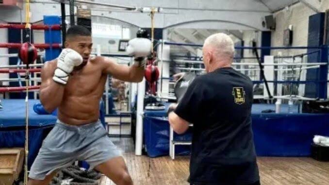 Joshua Returns To Training As Fury Fight Hangs In The Balance