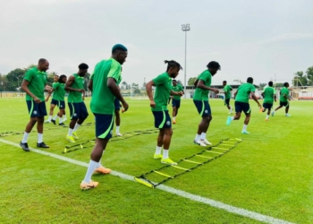 Egbe Urges NFF To Add Pitch Intelligence To Super Eagles Preparation
