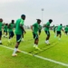 Egbe Urges NFF To Add Pitch Intelligence To Super Eagles Preparation 5 Egbe Urges NFF To Add Pitch Intelligence To Super Eagles Preparation