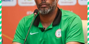 2027 AFCONQ: Chelle Explains Okoye’s Absence From Super Eagles Camp