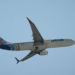 Pilot Allegedly Stabs Co-Pilot As Dubai-Israel Flight Makes Emergency Landing