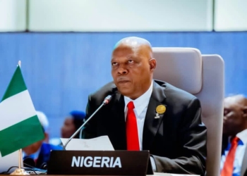 Nigeria Will No Longer Tolerate Mistreatment Of Its Citizens Abroad, Vice President Says