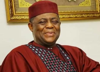 Fani-Kayode Demands Justice Over Killing Of Nigerians In South Africa
