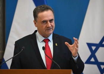 Defence Minister Israel Katz