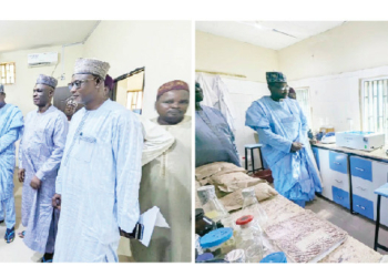 Jigawa Agricultural Research Institute Emerges As Model For Others