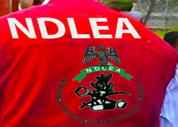 NDLEA Seizes 7,531kg Narcotics, Arrests 68 Suspects In Edo