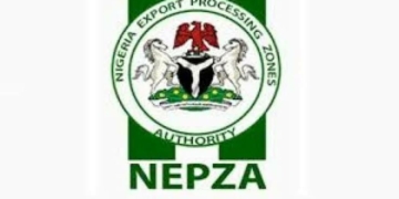 NEPZA Threatens Sanctions Over Illegal Container Imports 2 NEPZA