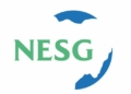 Nigeria’s Raw-material Trap Threatens Jobs, Productivity, Says NESG