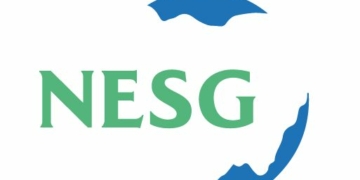 Nigeria’s Raw-material Trap Threatens Jobs, Productivity, Says NESG