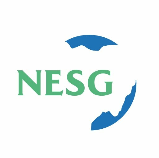 NESG Official Logo