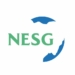 Nigeria’s Raw-material Trap Threatens Jobs, Productivity, Says NESG