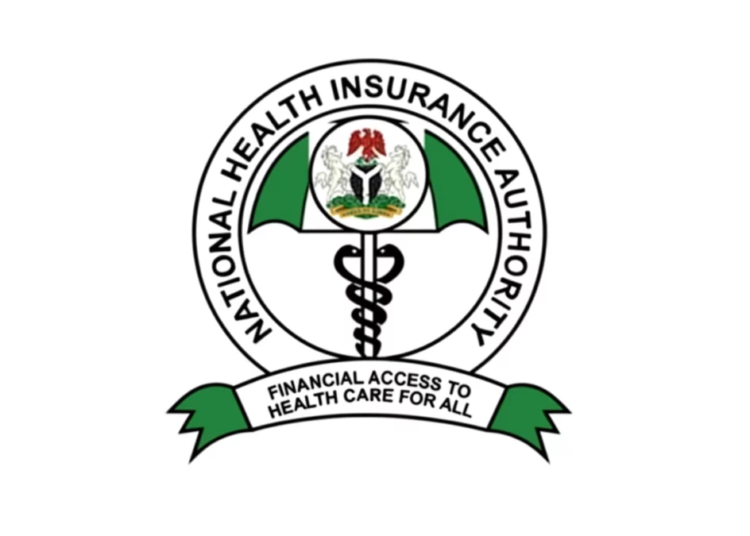 FG Health Fund Review Sparks Debate as Patients Face High Costs