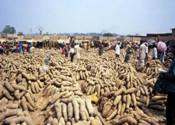 Tension Mounts In Anambra Community Over Planned New Yam Festival